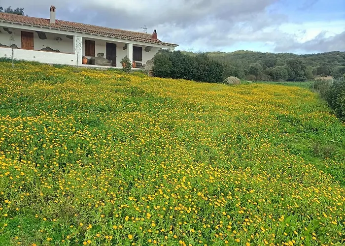 Funtana E Caddos Apartament Berchidda