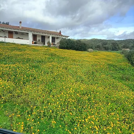 Funtana E Caddos Apartment Berchidda