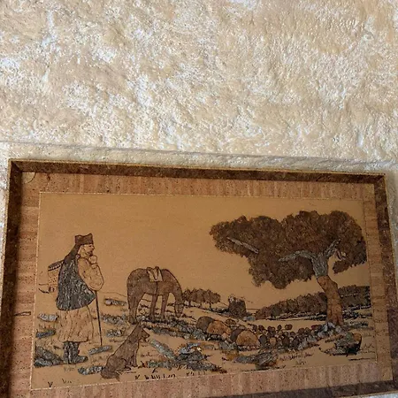 דירה Funtana E Caddos ברקידה